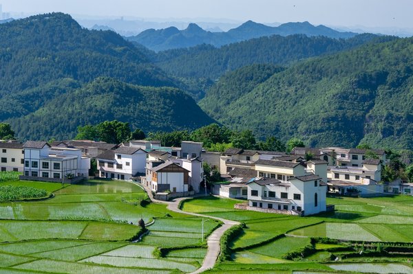 Comment évaluer la viabilité d'un projet de développement immobilier en zone rurale?